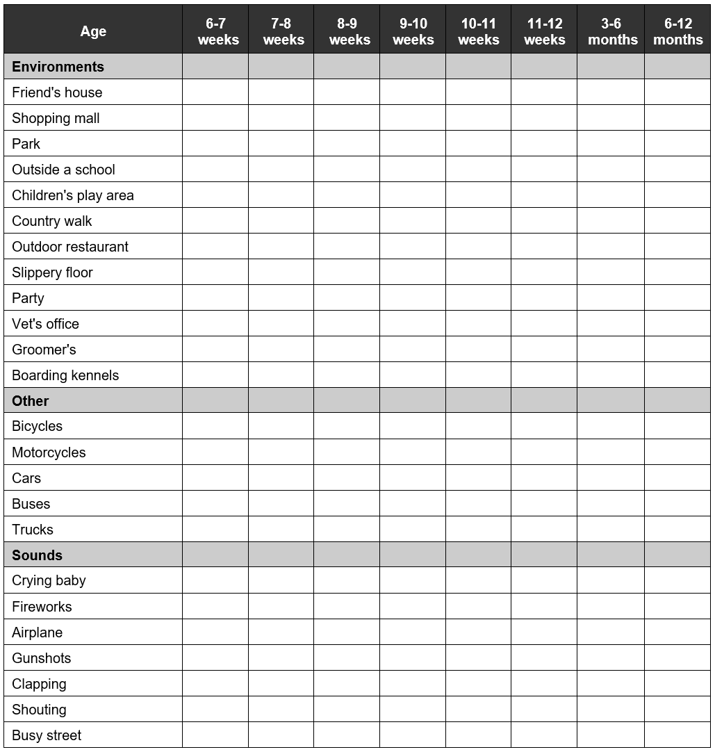 Socialization chart