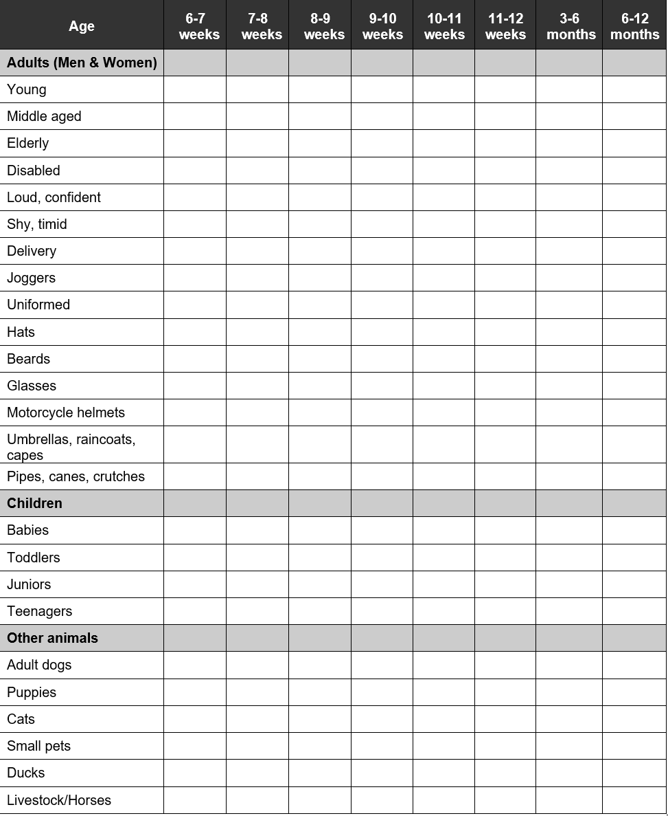 Socialization Chart