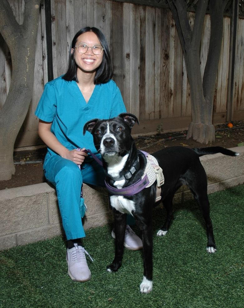 Dr. Kristin Long