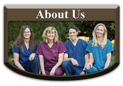 About Us -  Arden Animal Hospital - Sacramento, CA