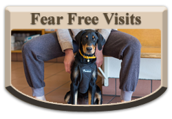 Fear Free Visits