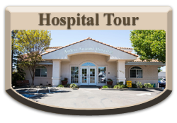 Hospital Tour