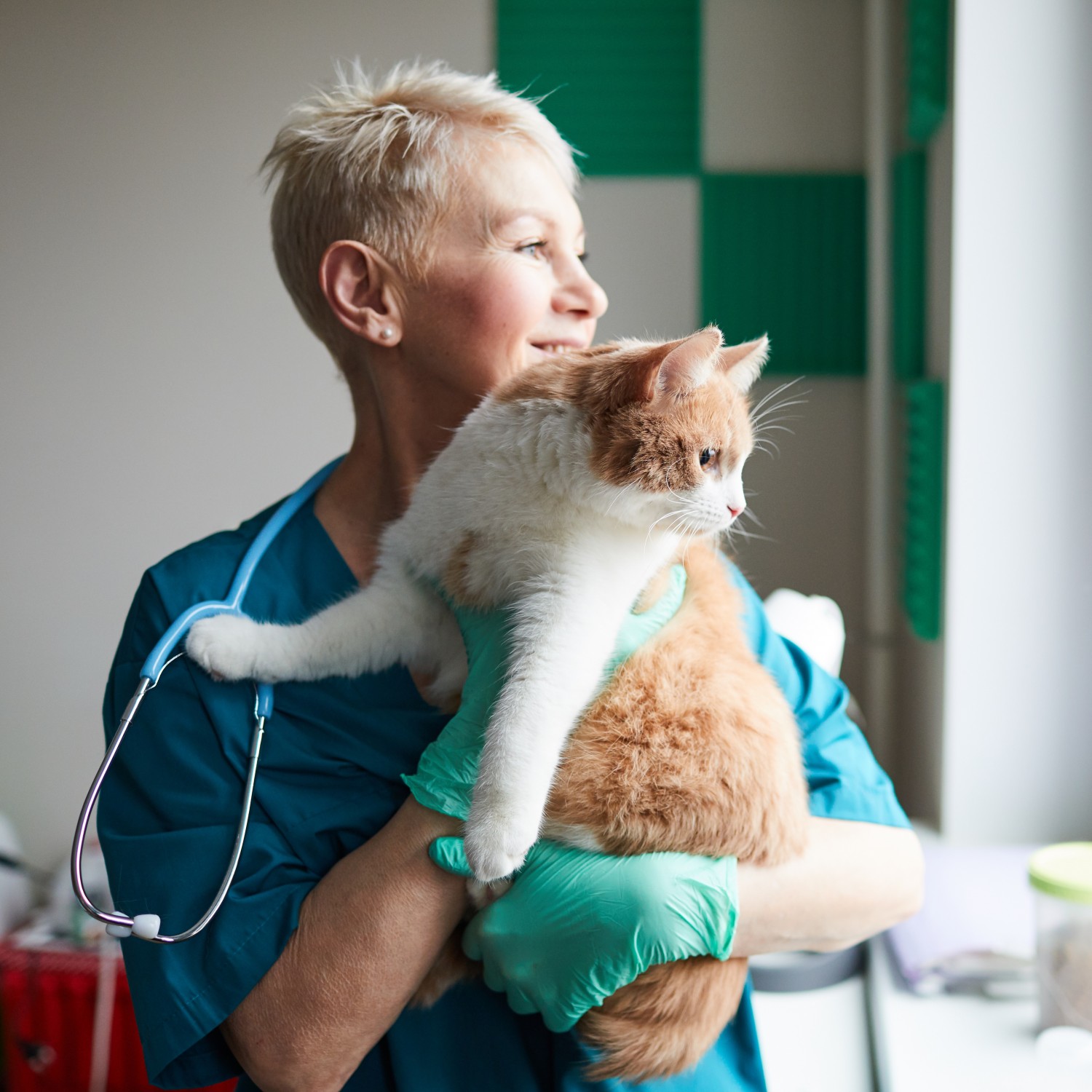 Doctor and Cat Looking Out Window