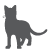 Cat Icon